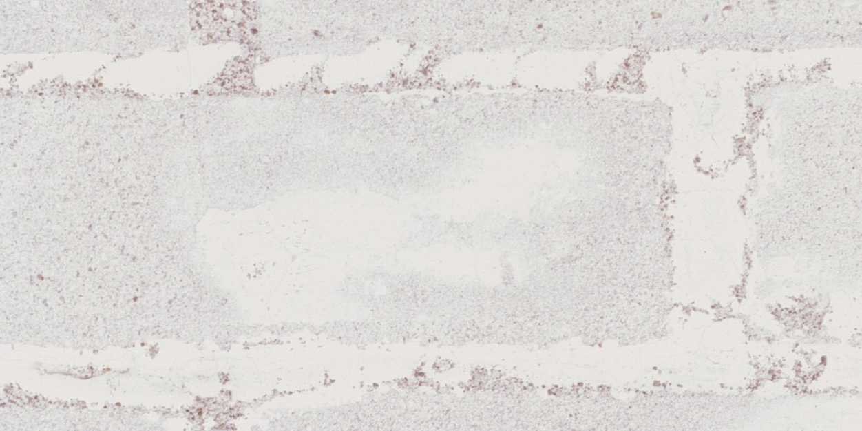 MEzzell's profile banner image