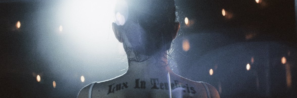 stel's banner