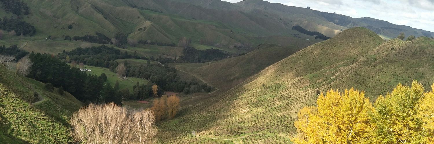 dc2nz's profile banner image