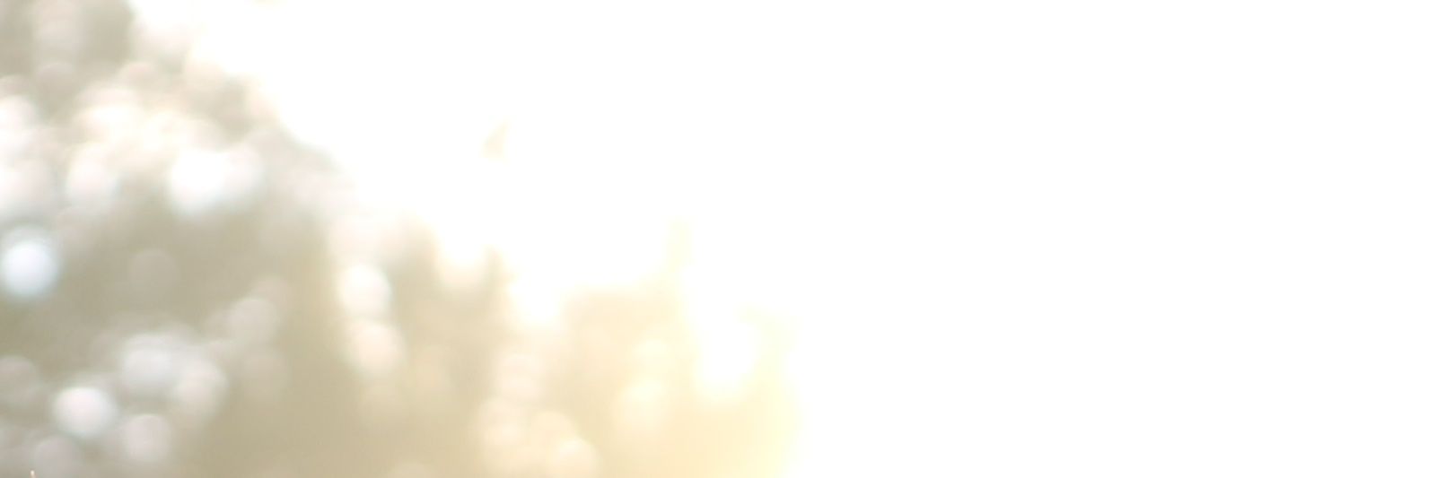 azlinamalia's profile banner image