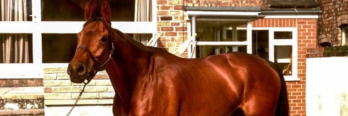 ttormo's profile banner image
