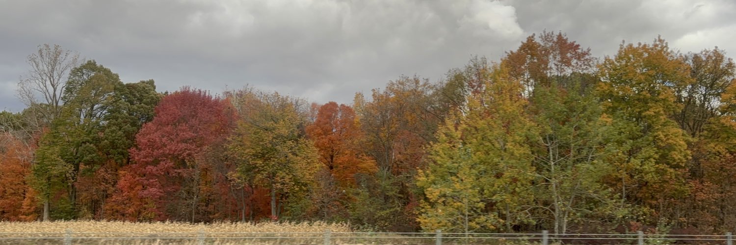 kezh99's profile banner image