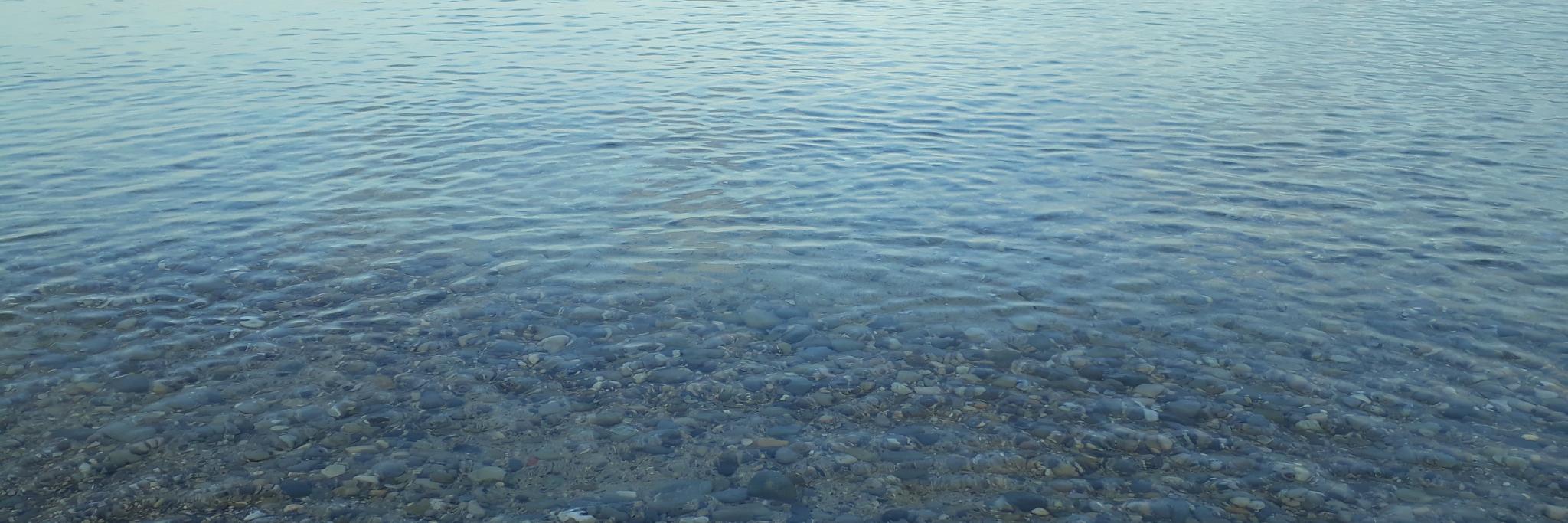 Clemence Fischer 🌍 banner