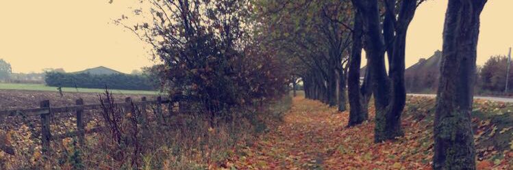 lucyblackkk's profile banner image