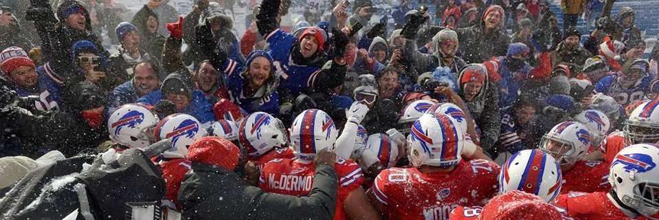 Matthew Schaefer banner