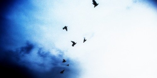 Lenzums's profile banner image