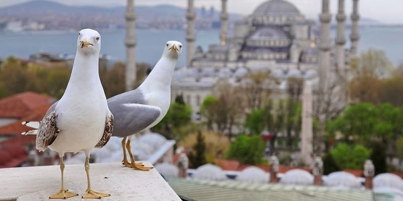 080Talal's profile banner image