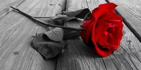 itax_gani's profile banner image