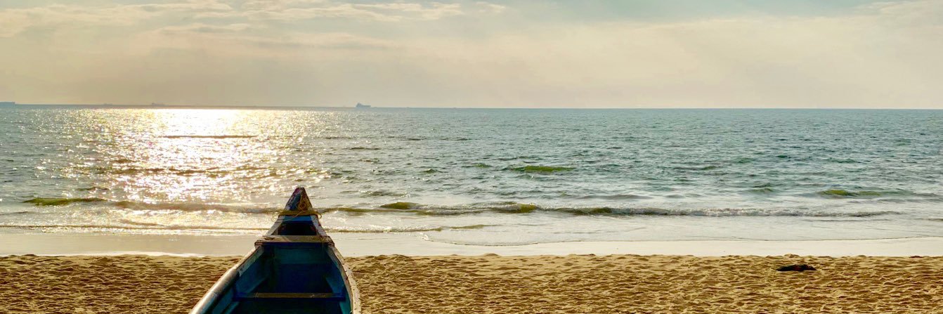 EdisonDsouza's profile banner image