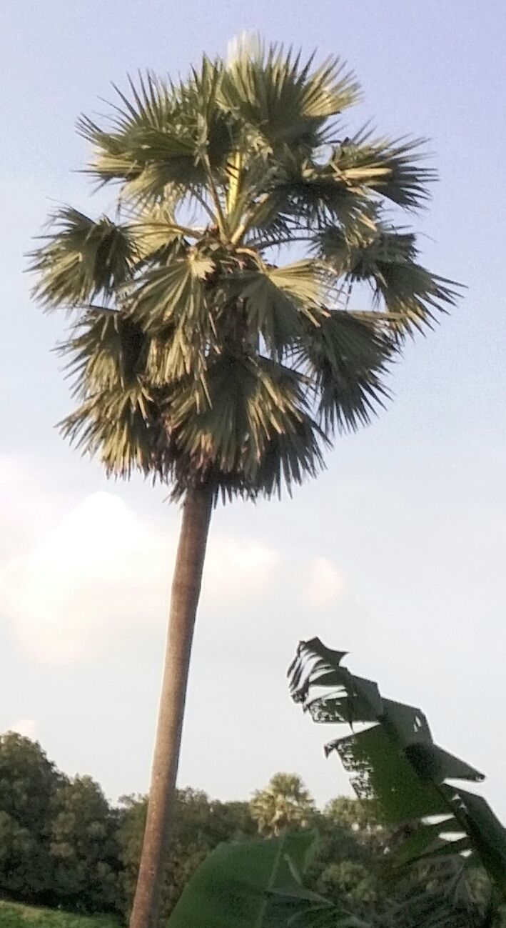 MDNurtaj1's profile banner image