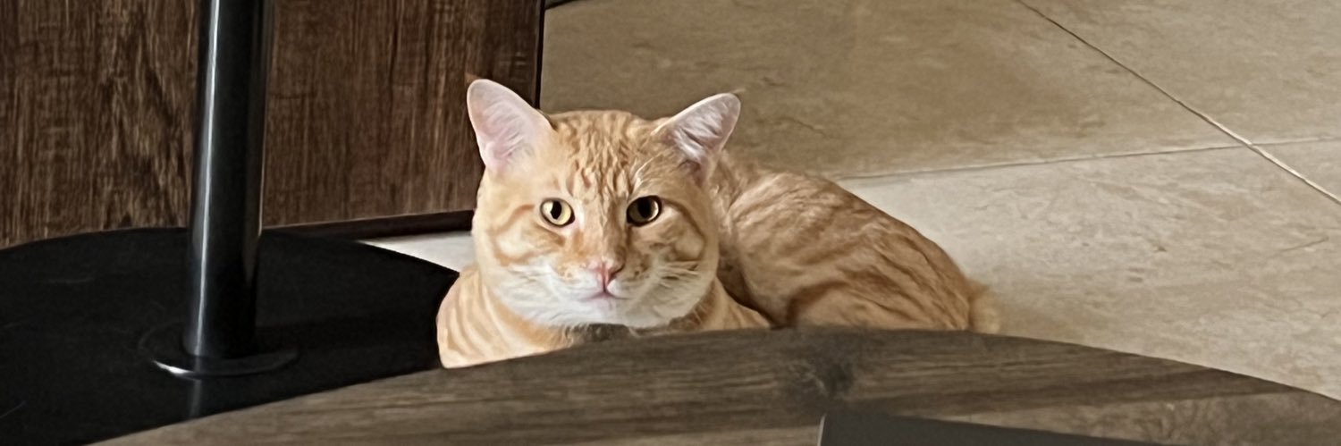 sodeebaba's profile banner image