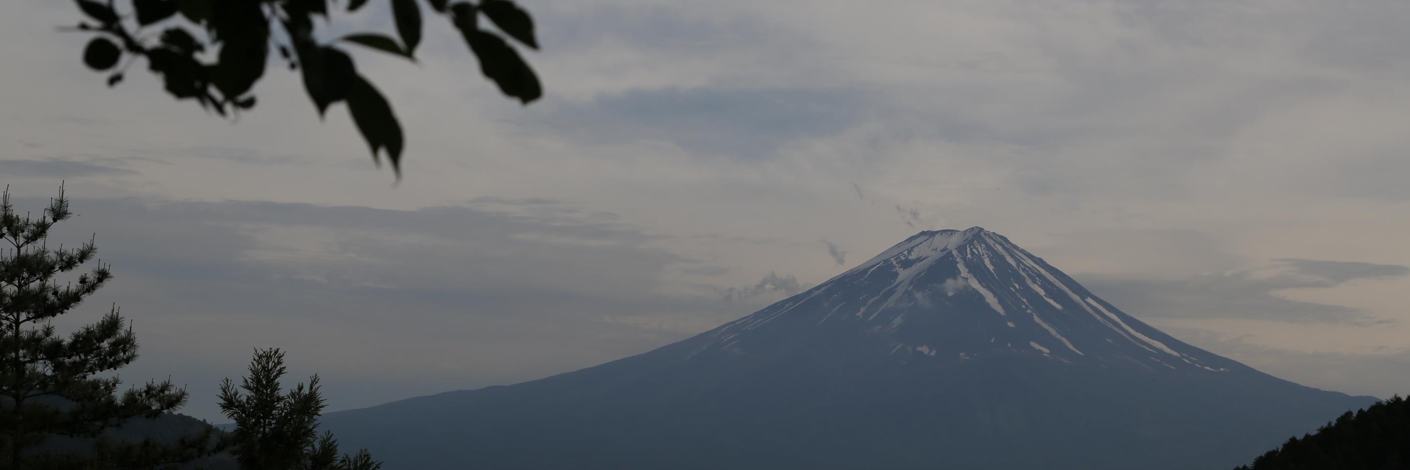 001774's profile banner image