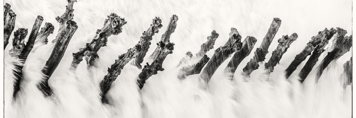 MAO Laurence-Photos banner