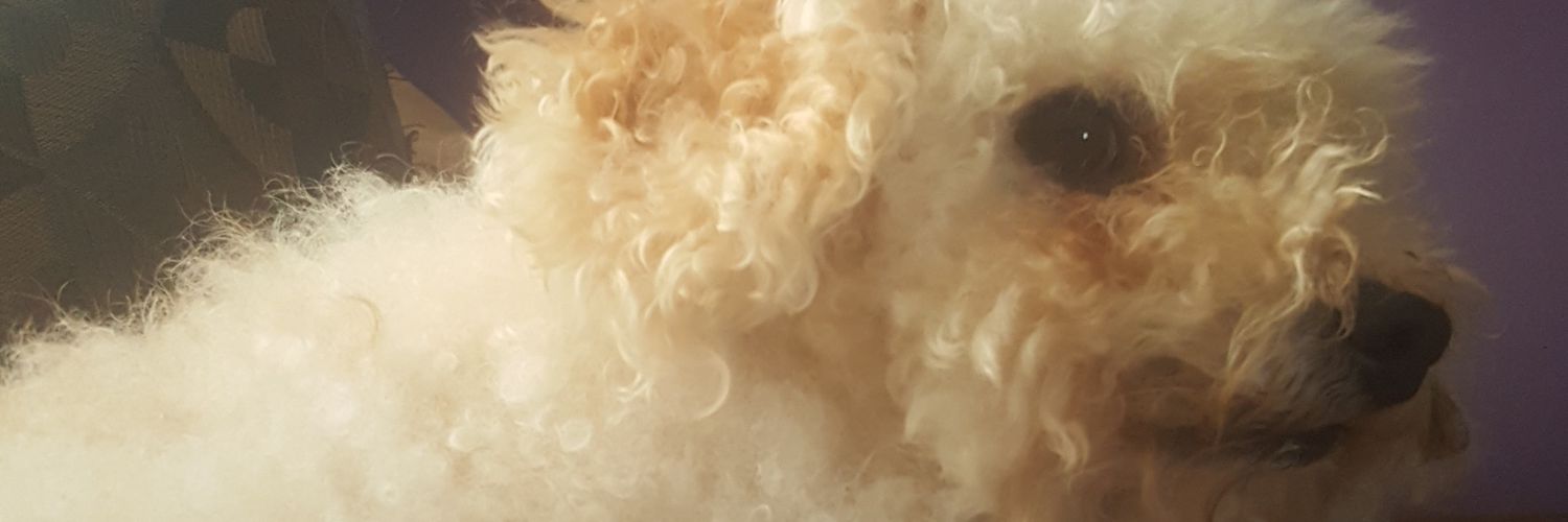 HomestuckA's profile banner image