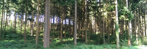 Merd0c79 Profile Banner