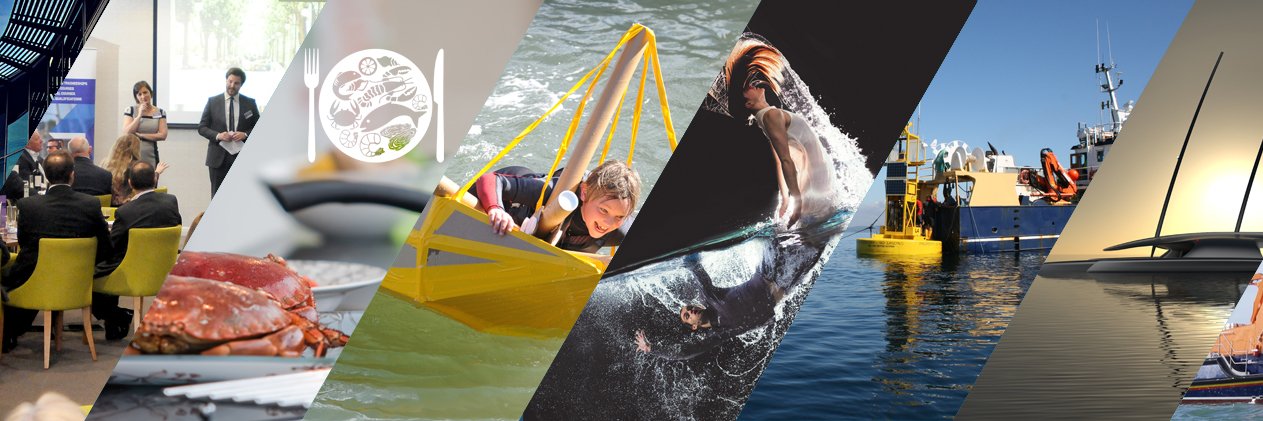 Ocean City Festival banner