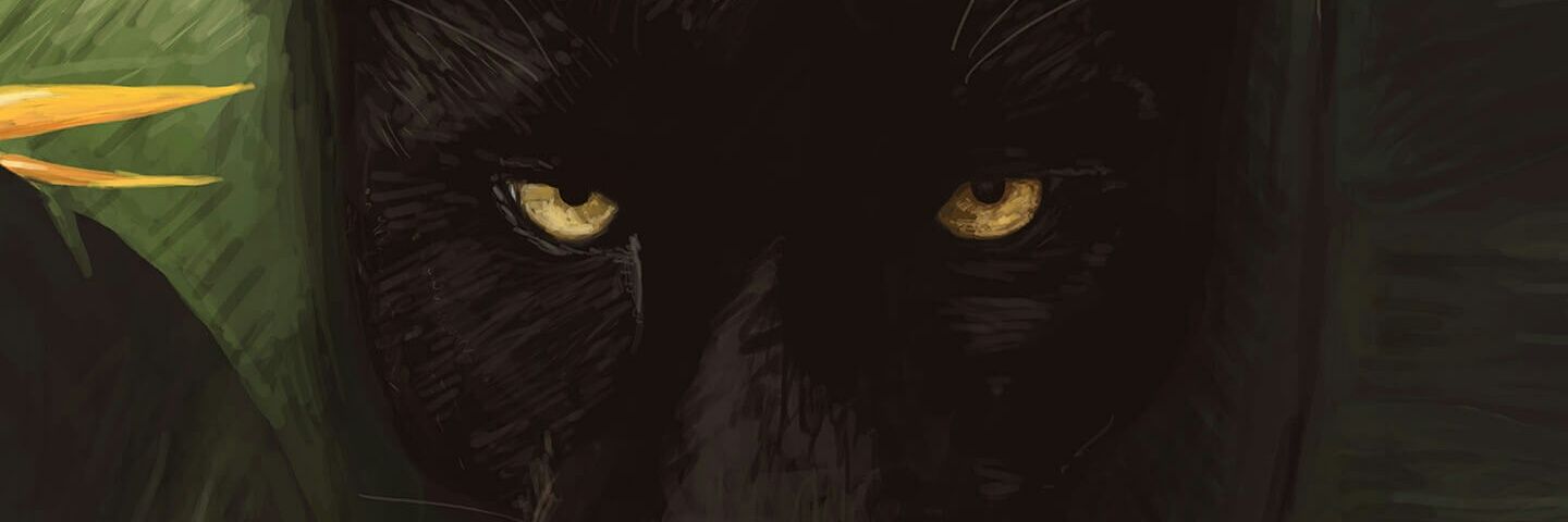 PetaFela's profile banner image