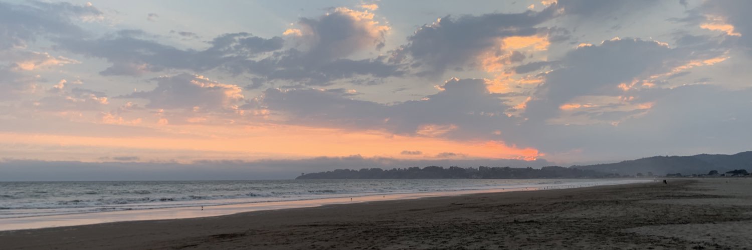 Dawn Shalhoup banner