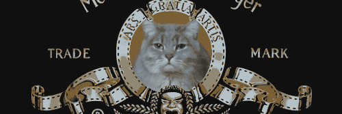 tinnasigrun's profile banner image
