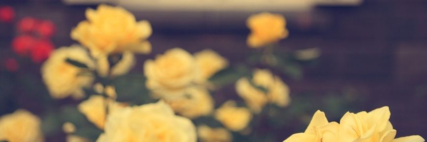 mbarnum83's profile banner image