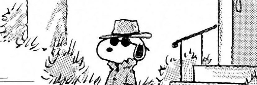 maggiebea666's profile banner image