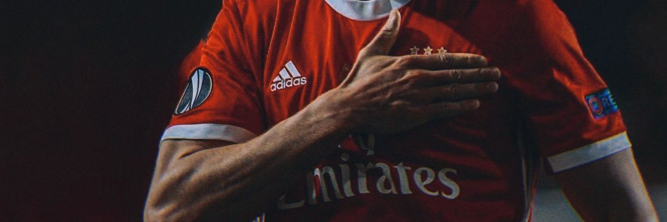 araquelsfb's profile banner image