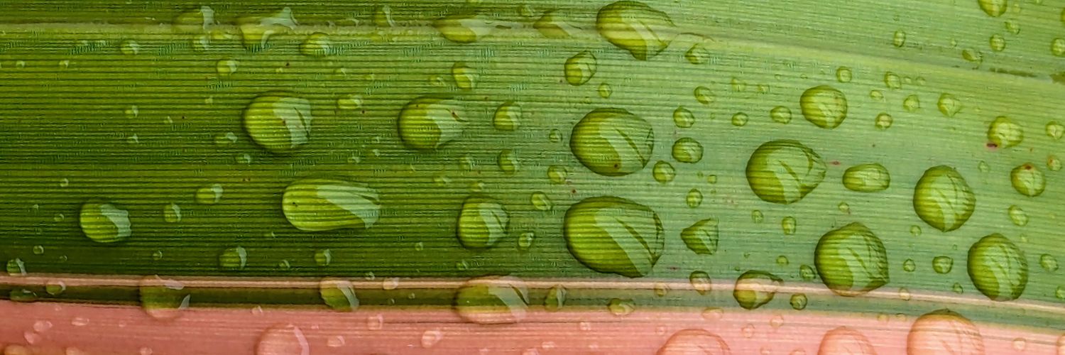 Maximum Medusa banner