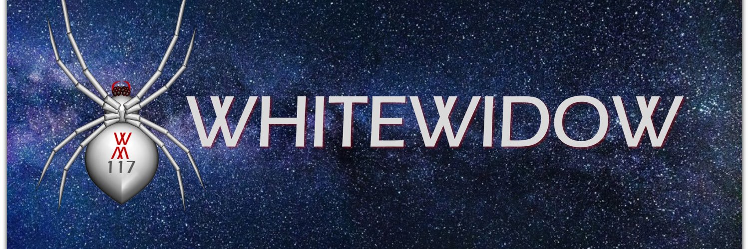 WHITEWIDOW117's profile banner image