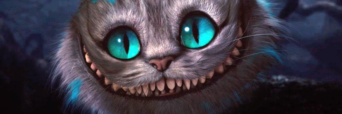 danicablu's profile banner image