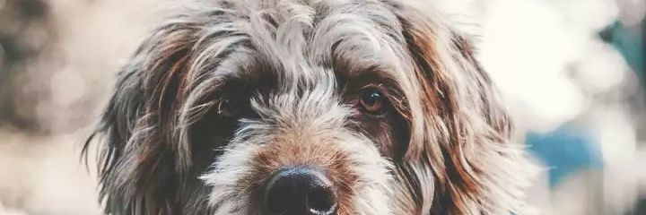 mpoumpou73's profile banner image