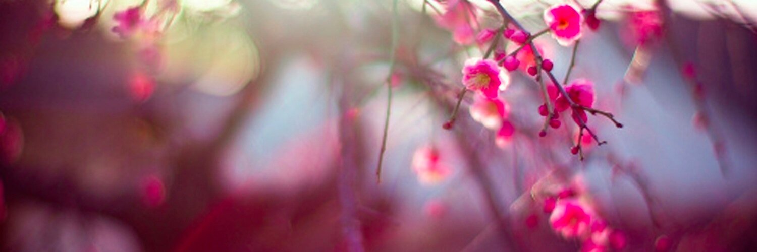 louhendo's profile banner image