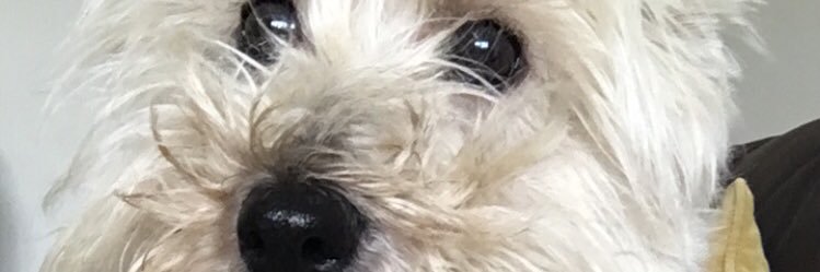 caitlin_______h's profile banner image