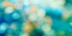 @ilive4sweets banner