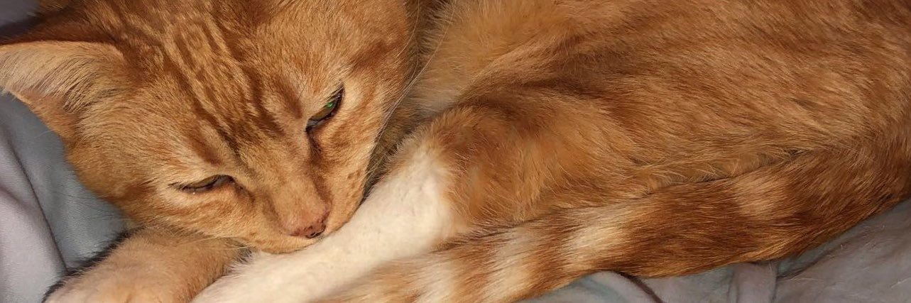 shzeee's profile banner image