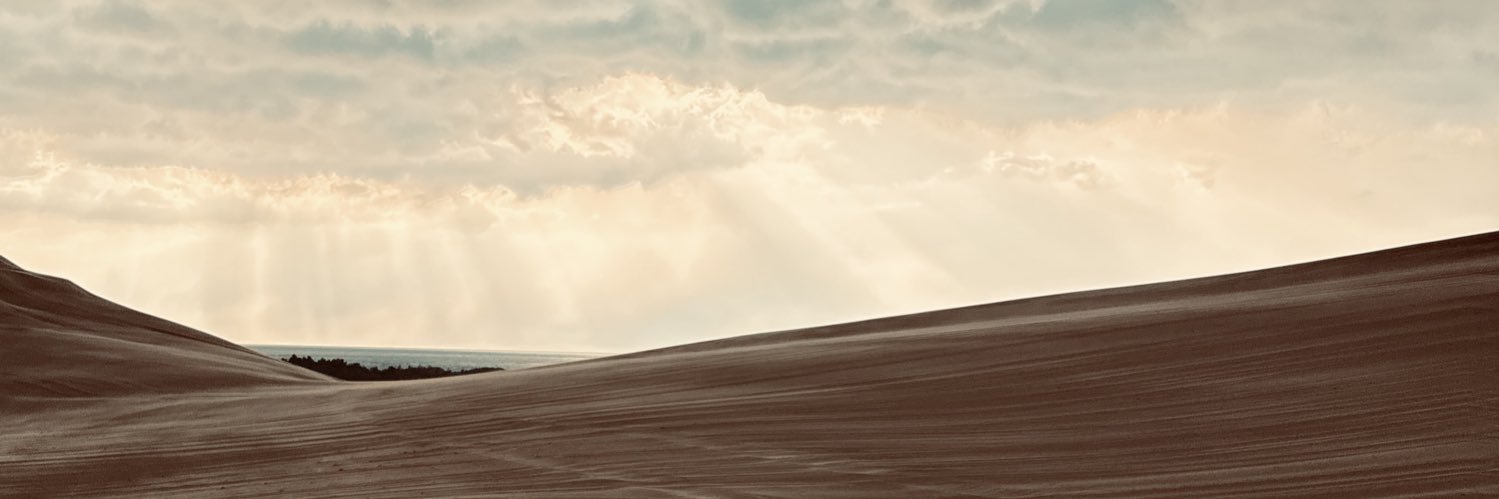 Cole Raines banner