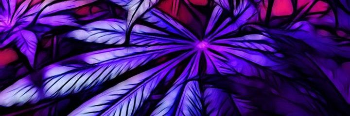GyptonK's profile banner image