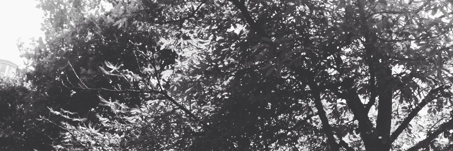 Magnus Bane. banner