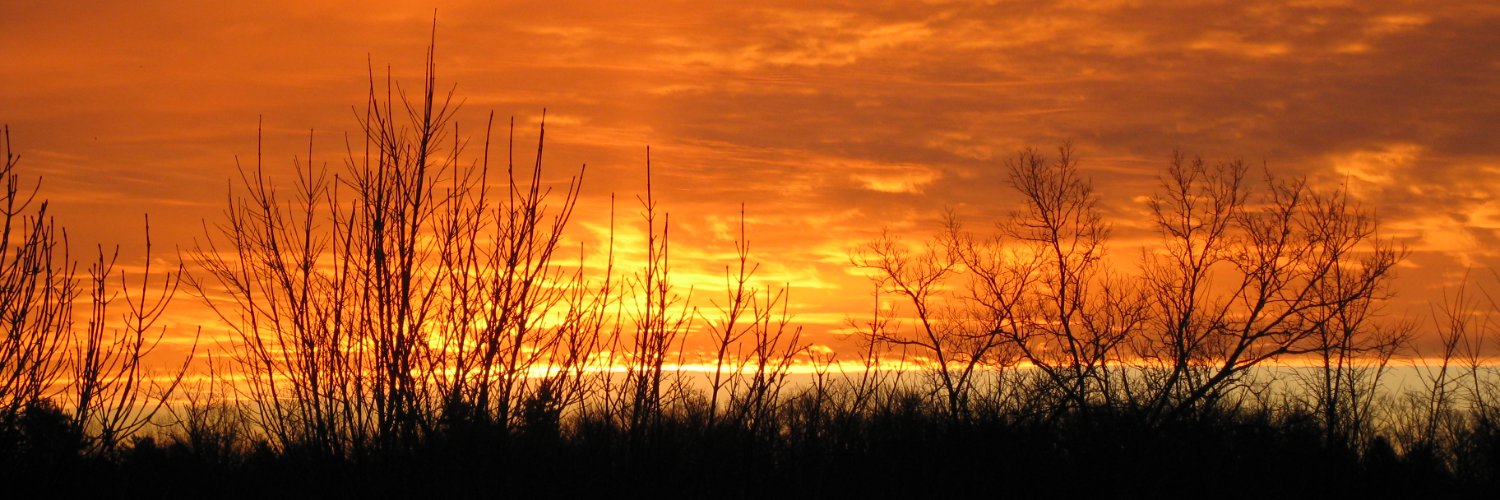 Jean M. Elwing banner