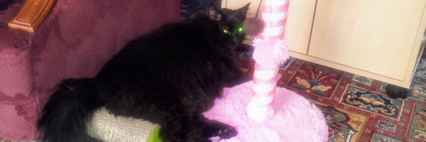 weeheemee Profile Banner