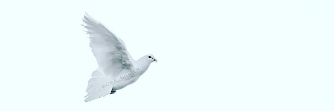 MJish's profile banner image