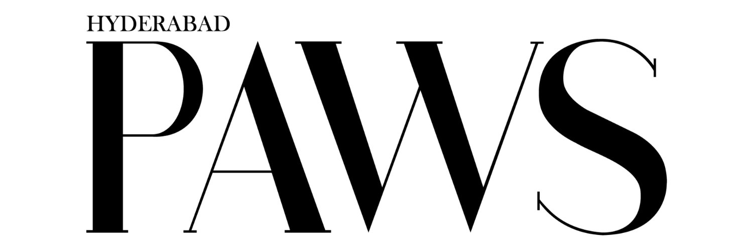indiapaws's profile banner image