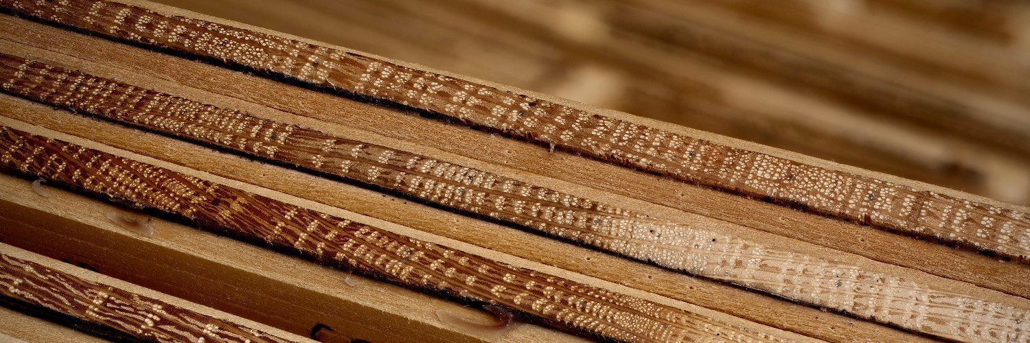 Matthew Trumper banner