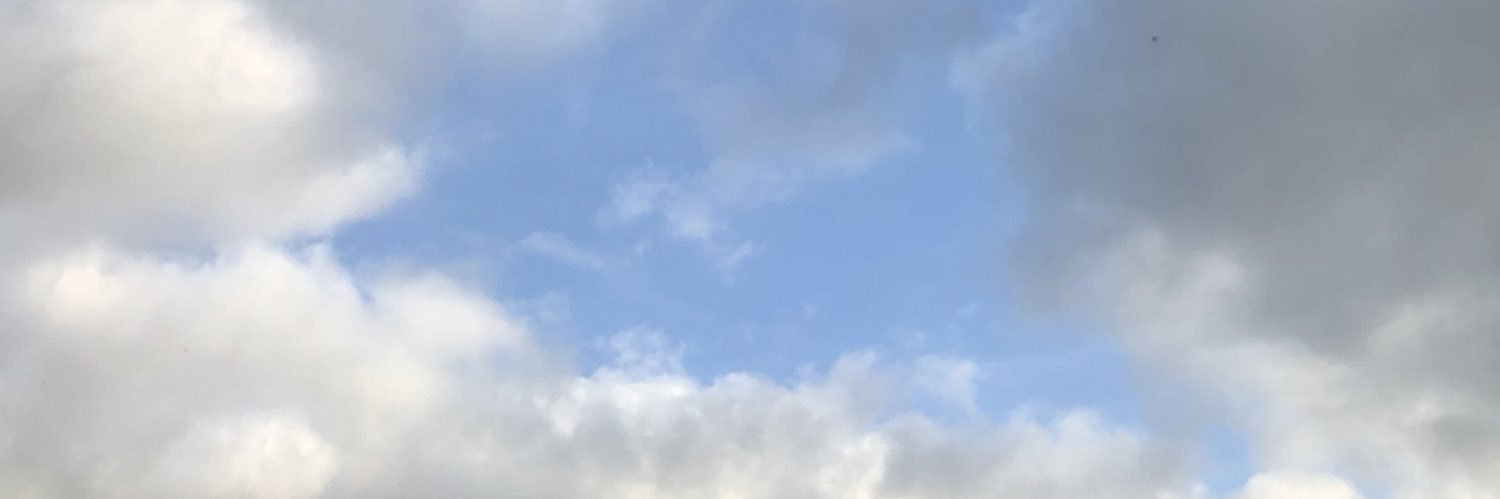 _LuLu_87's profile banner image