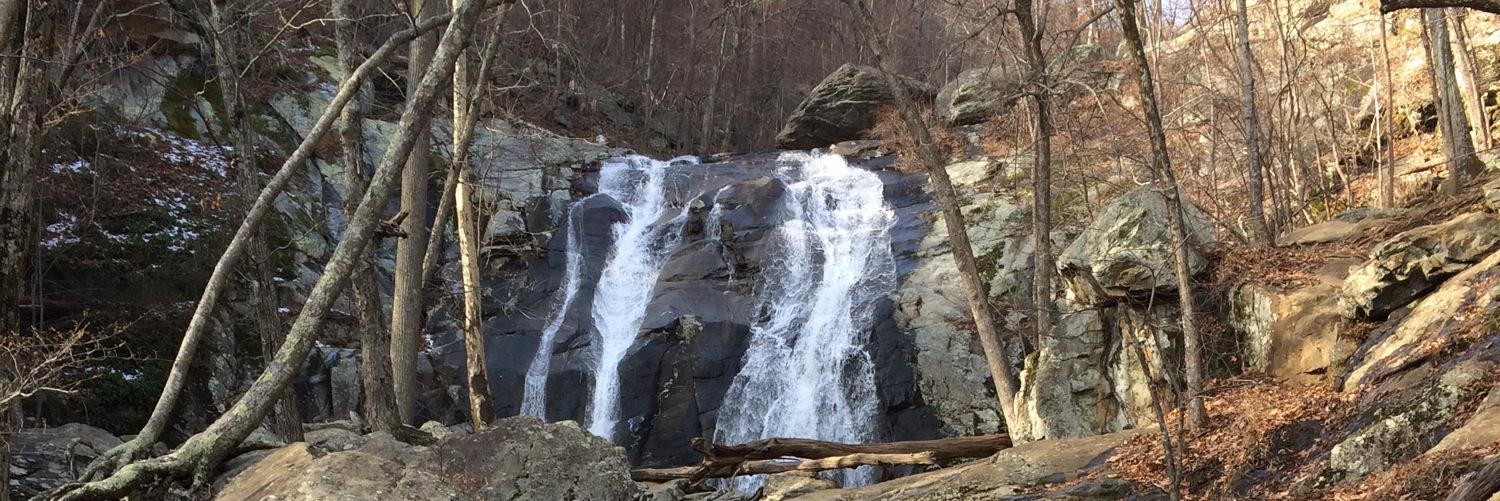 Megan Kopenyπ² banner