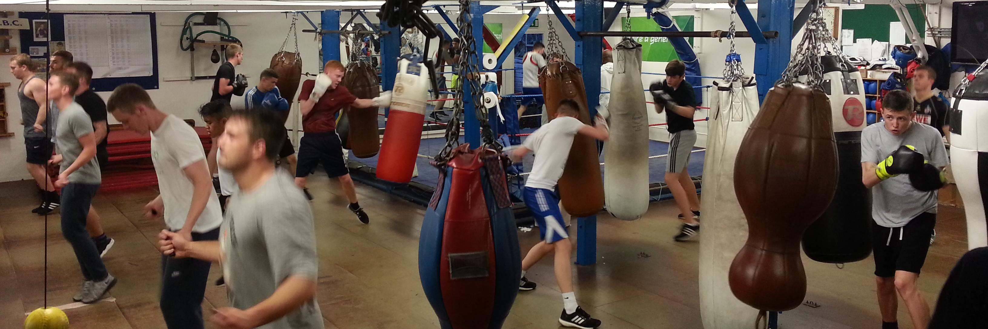 triumphboxing's profile banner image