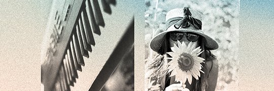Fitzroymx's profile banner image