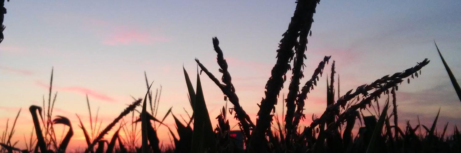 unfackingf_lia's profile banner image