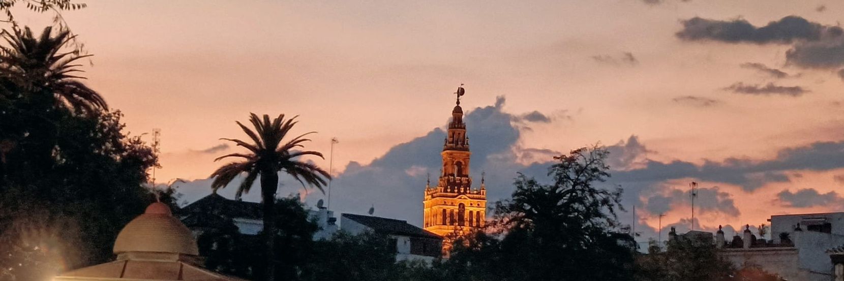 MIA PEREZ 🌹🌹🇪🇦🌹🌹 banner