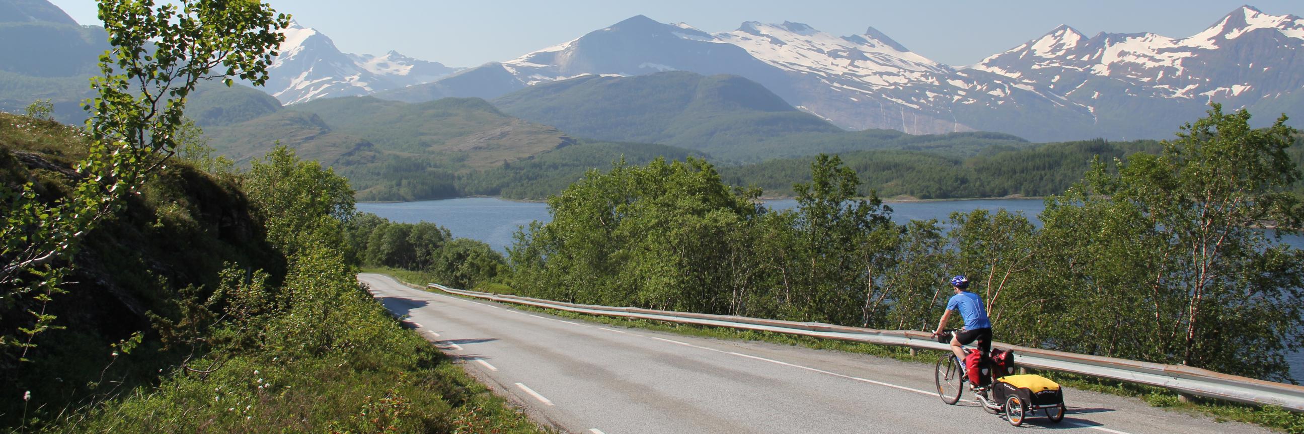 Lars Erik Sira banner