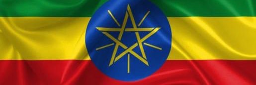 Dr. Oumer H. Oba (Ambassador) banner